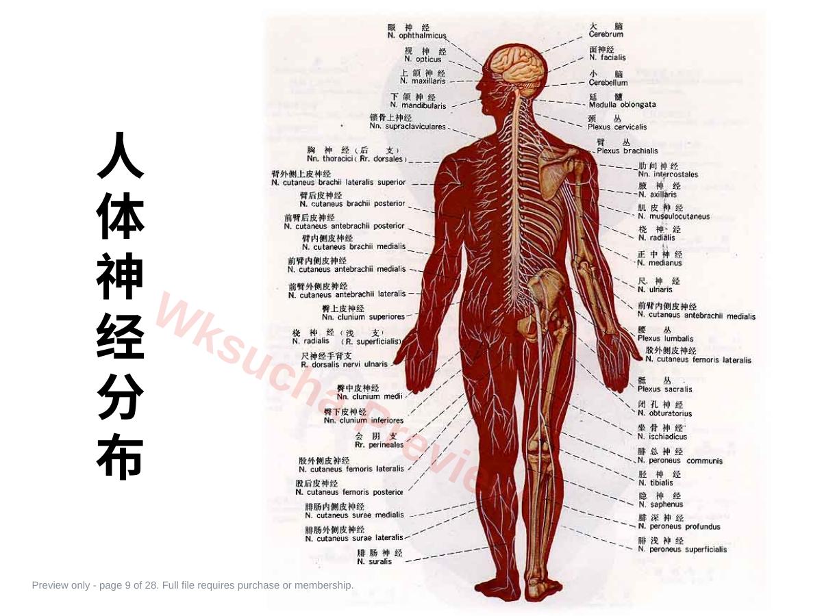 预览第 9 页