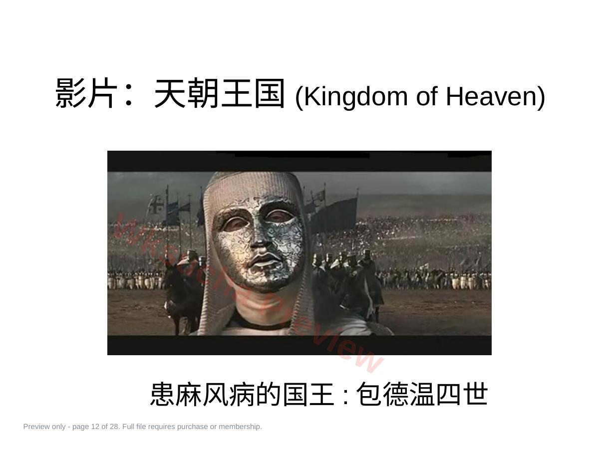 预览第 12 页