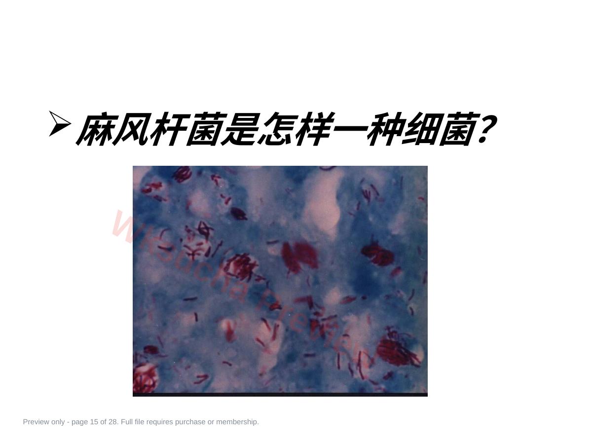 预览第 15 页