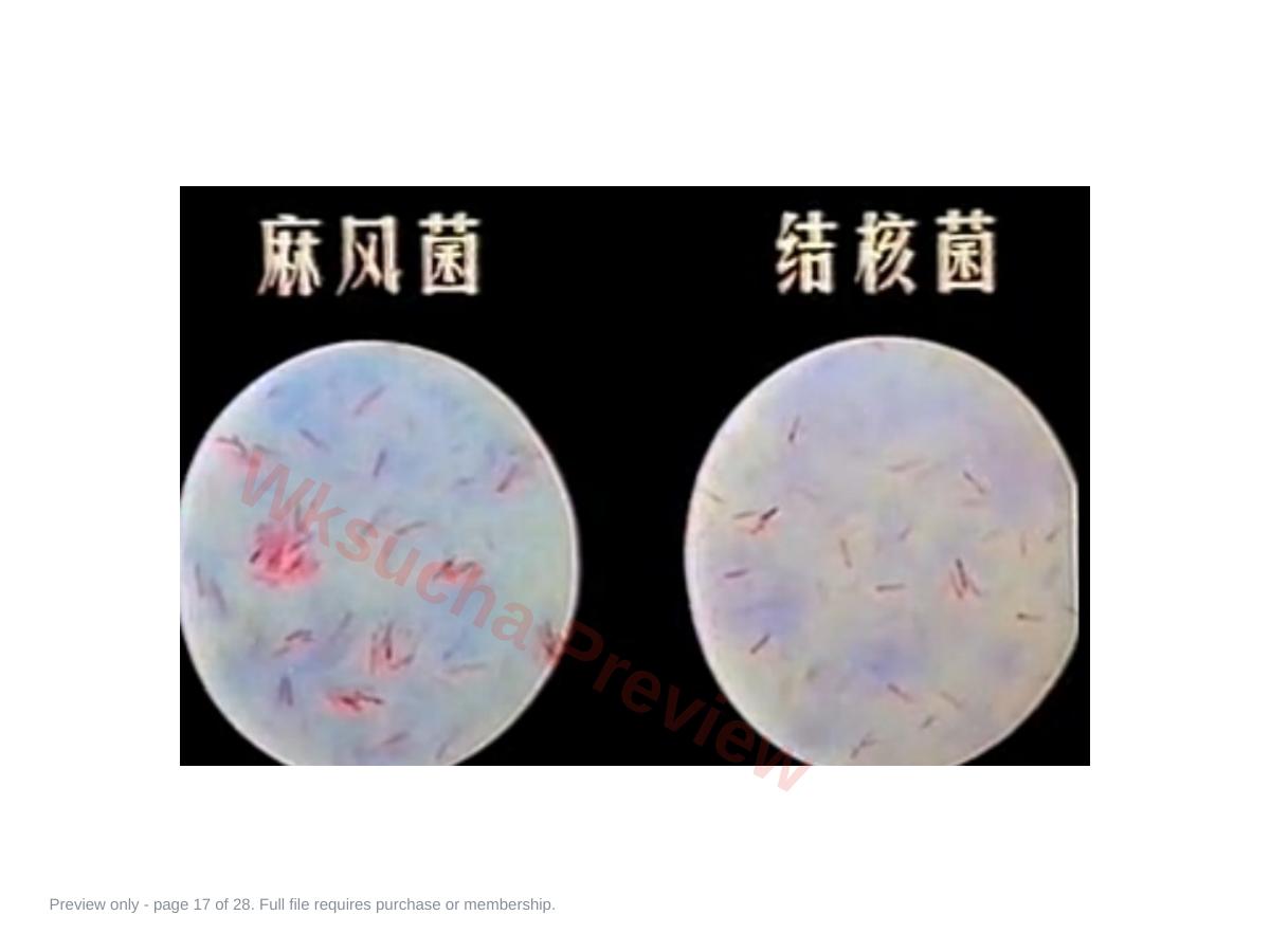 预览第 17 页