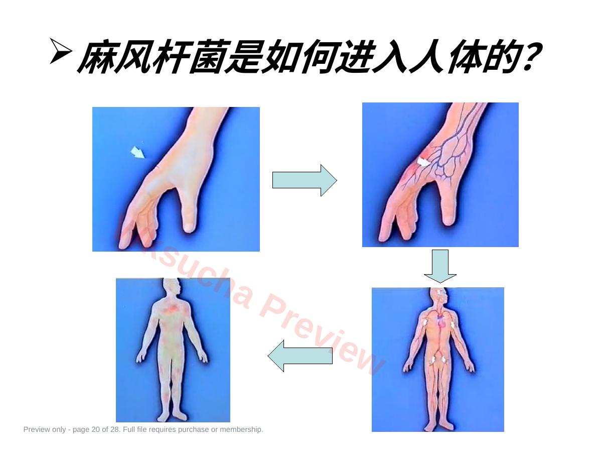 预览第 20 页