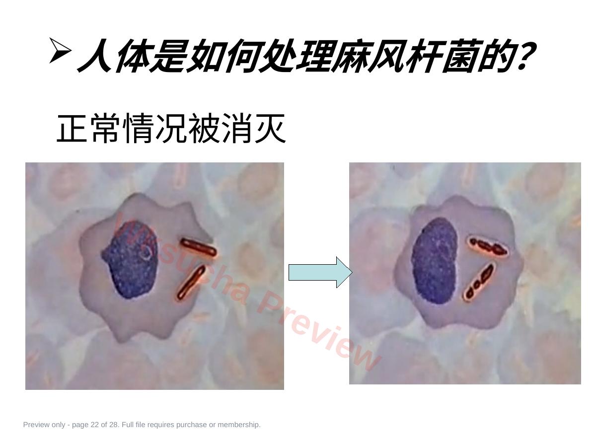 预览第 22 页