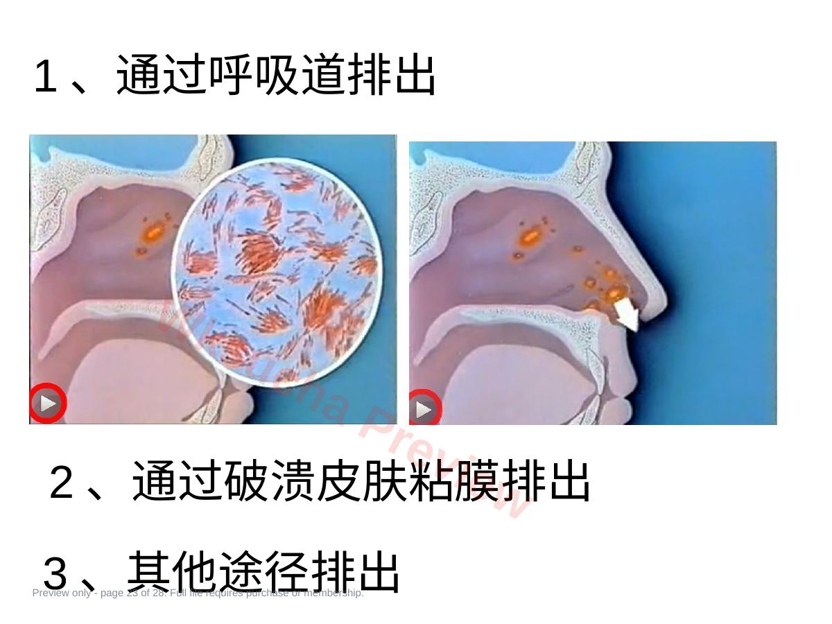 预览第 23 页