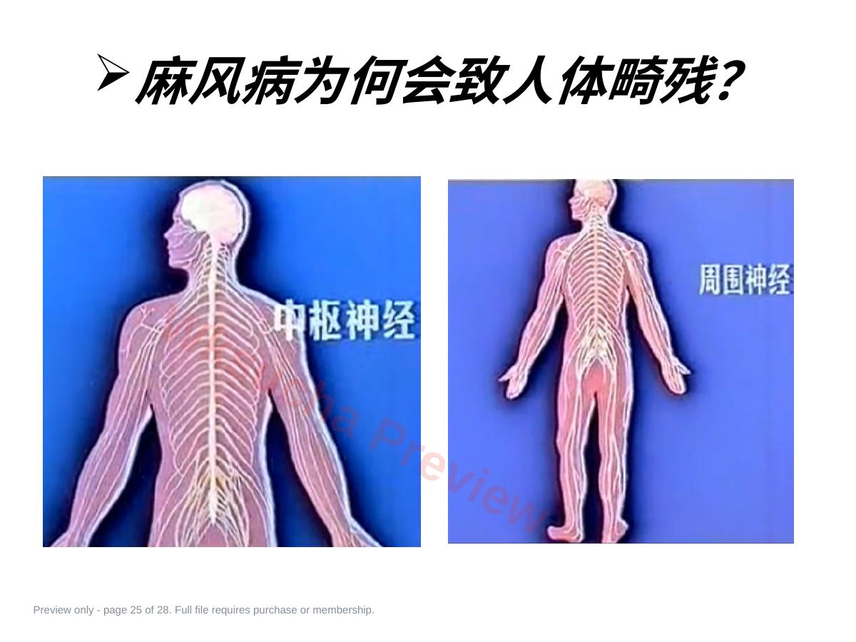 预览第 25 页