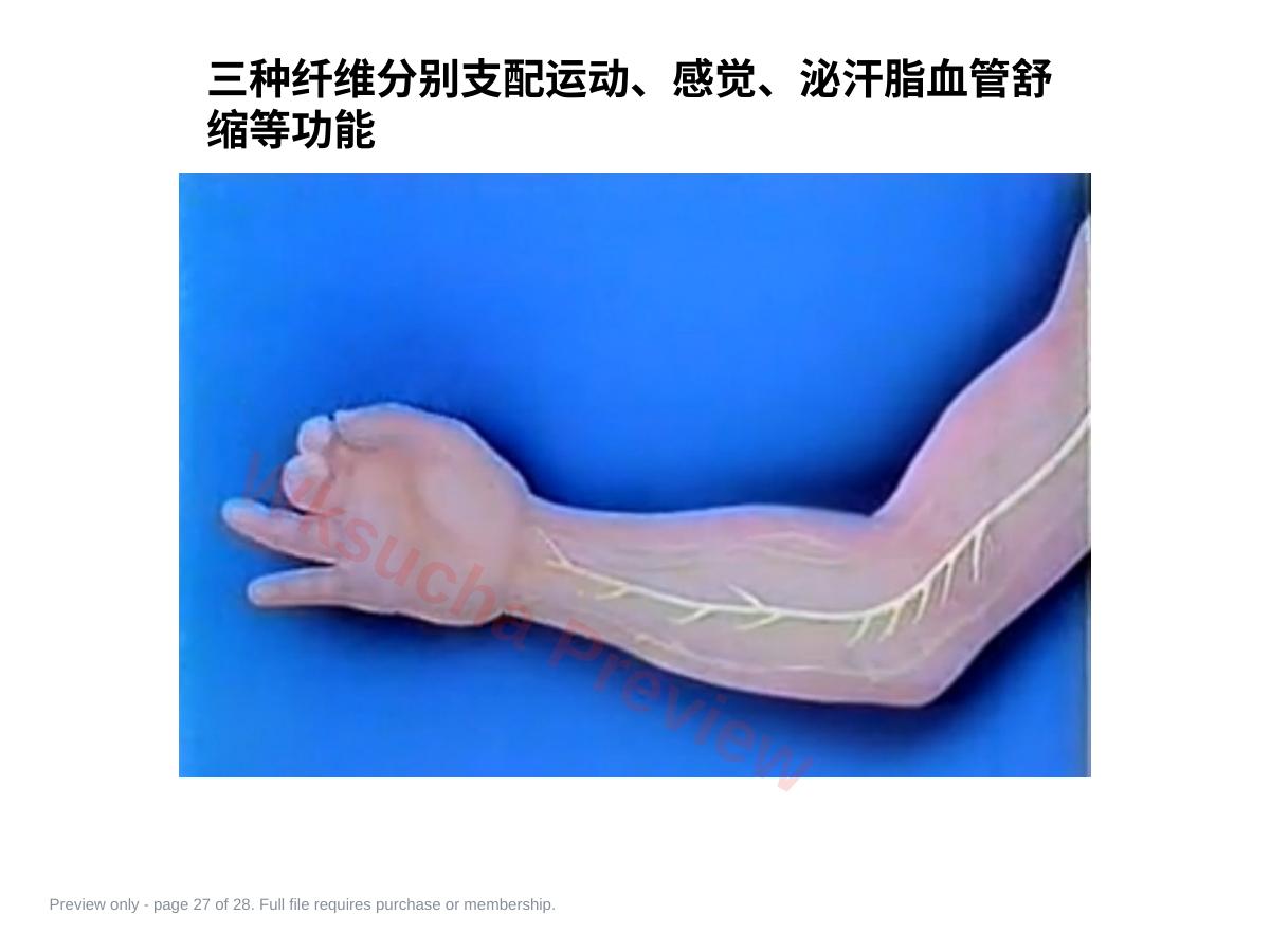 预览第 27 页