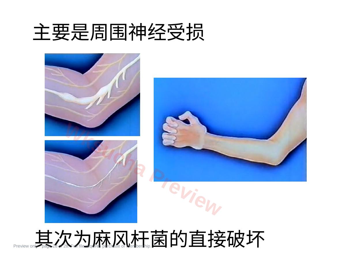 预览第 28 页