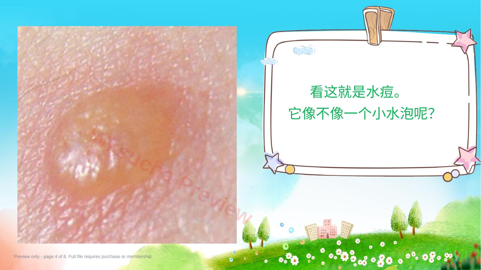 预览第 4 页