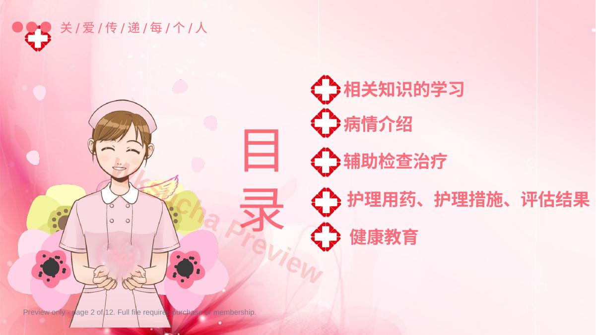 预览第 2 页
