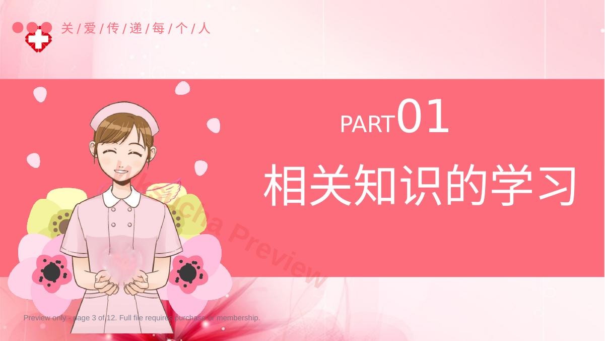 预览第 3 页
