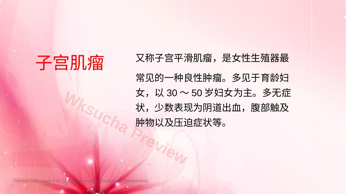 预览第 4 页