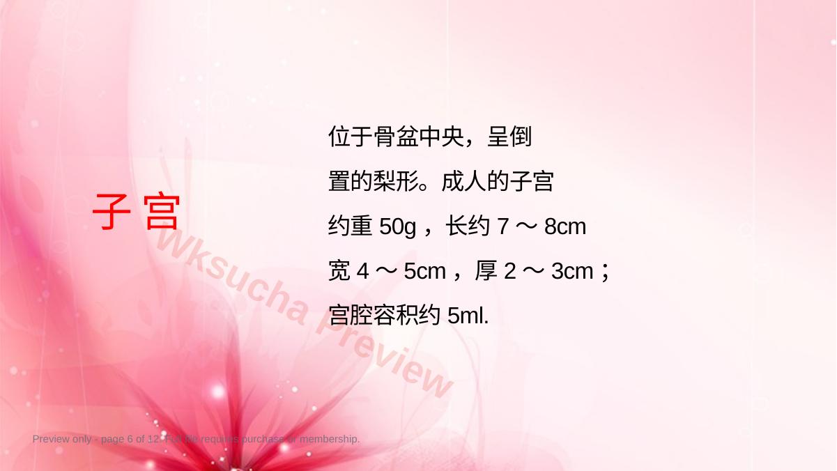 预览第 6 页