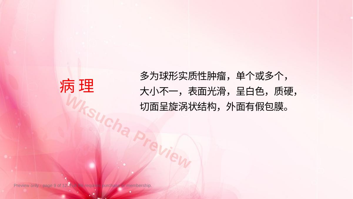 预览第 9 页