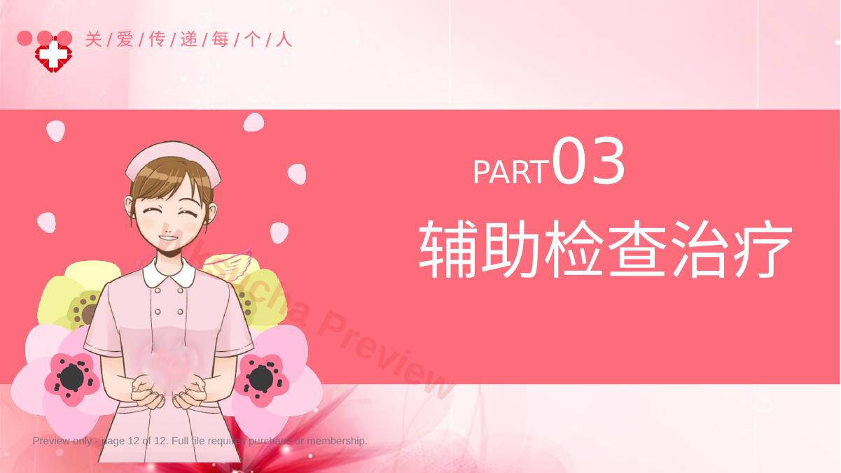 预览第 12 页