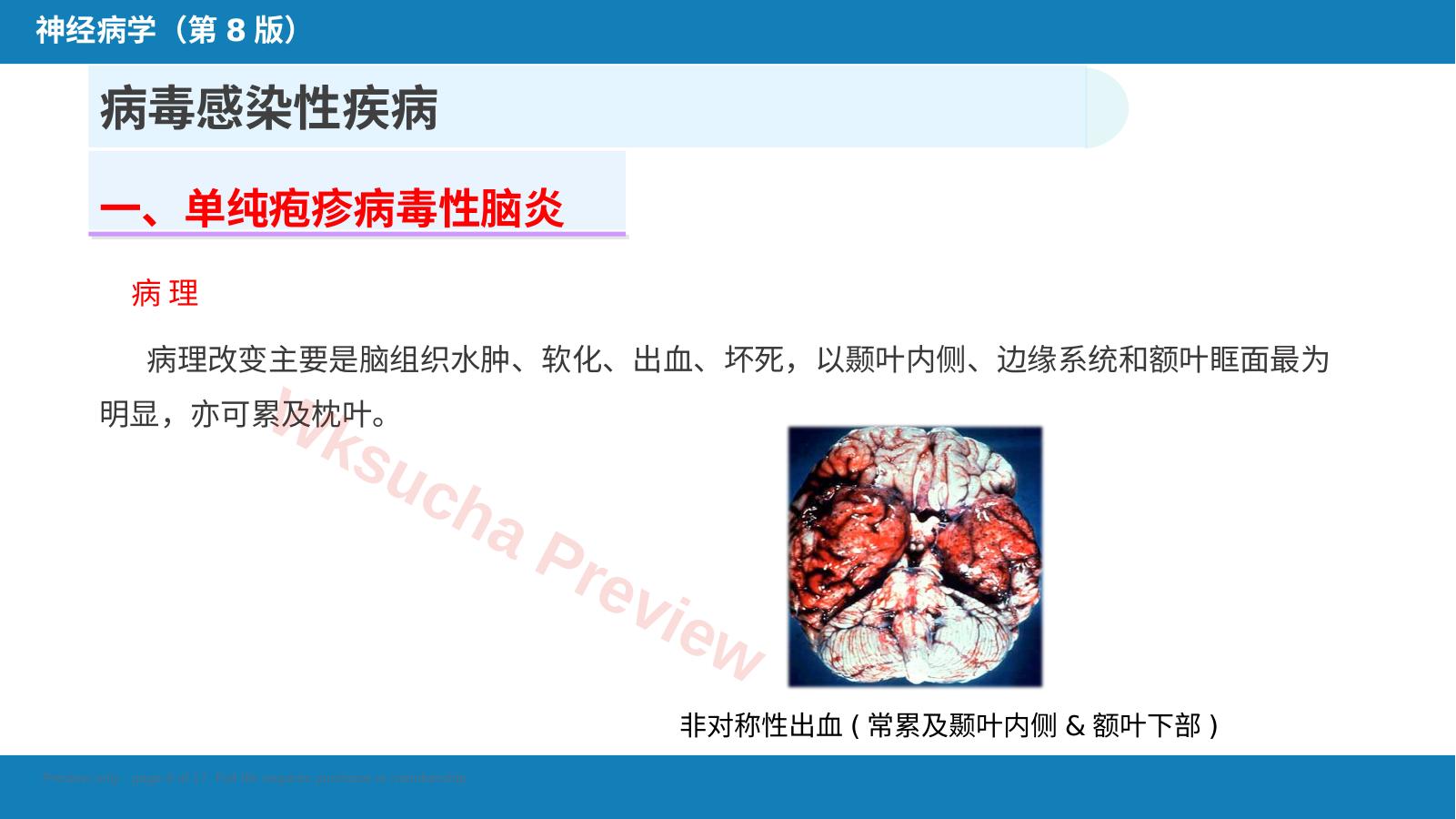 预览第 8 页