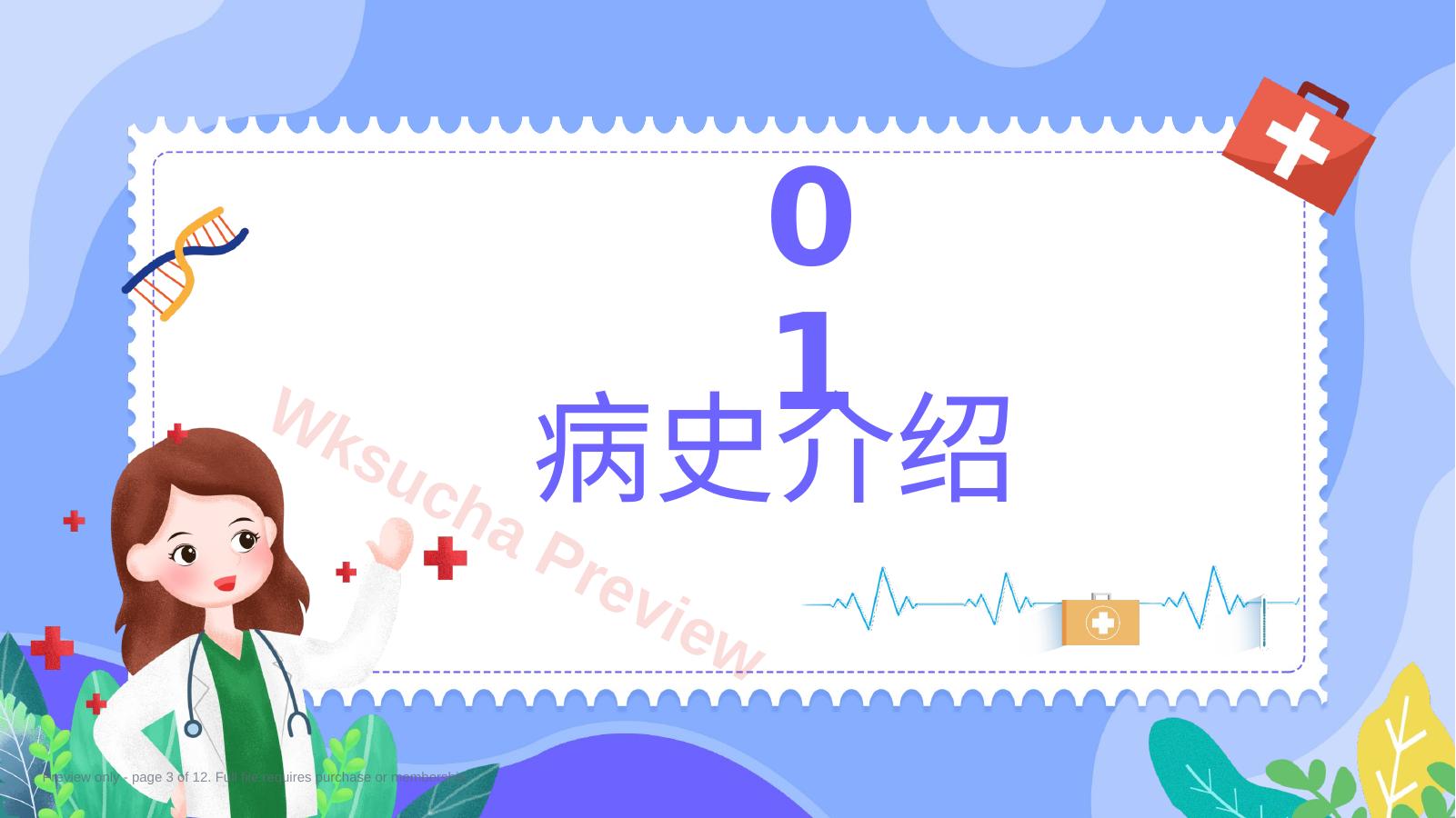 预览第 3 页