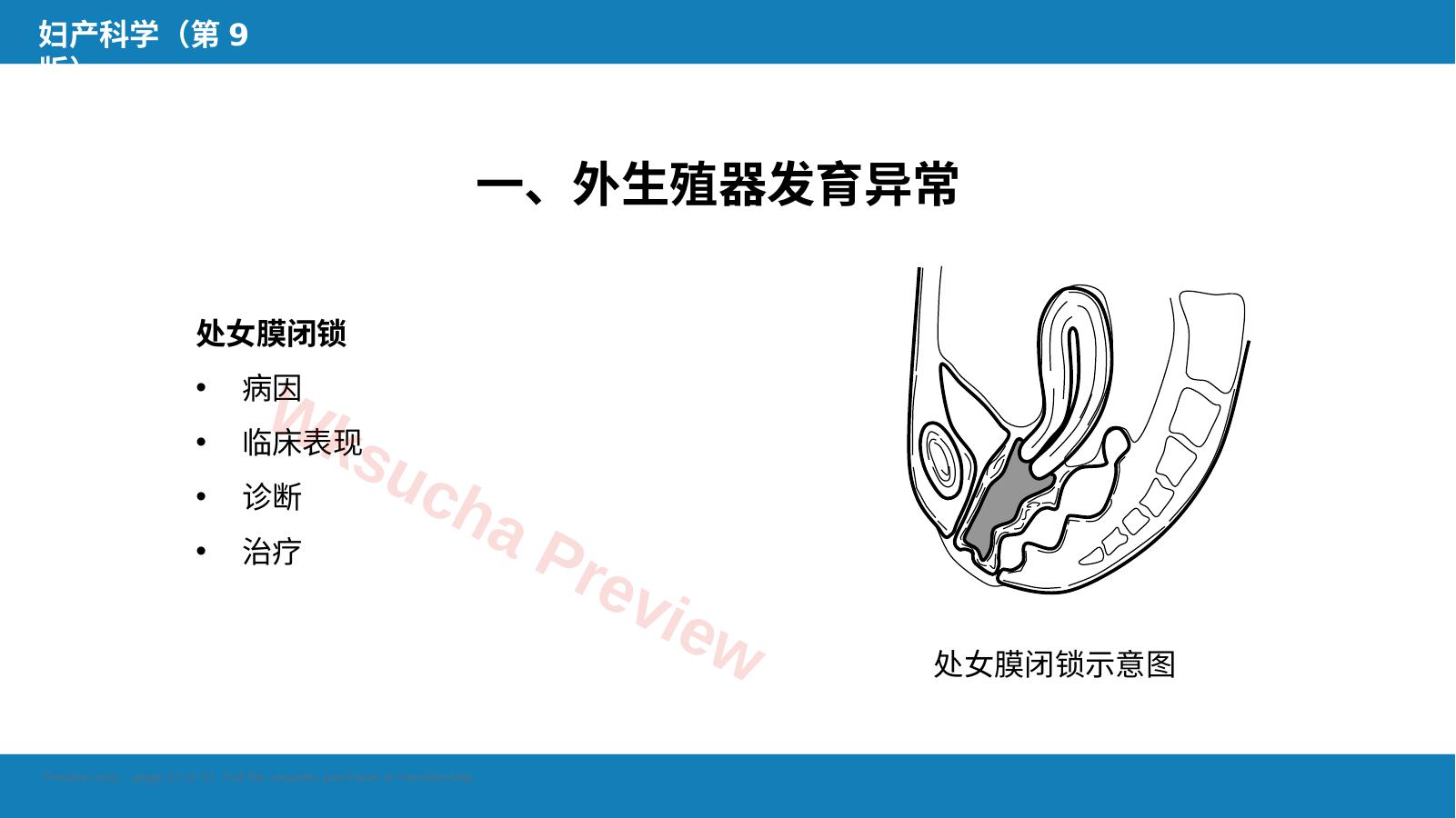 预览第 12 页