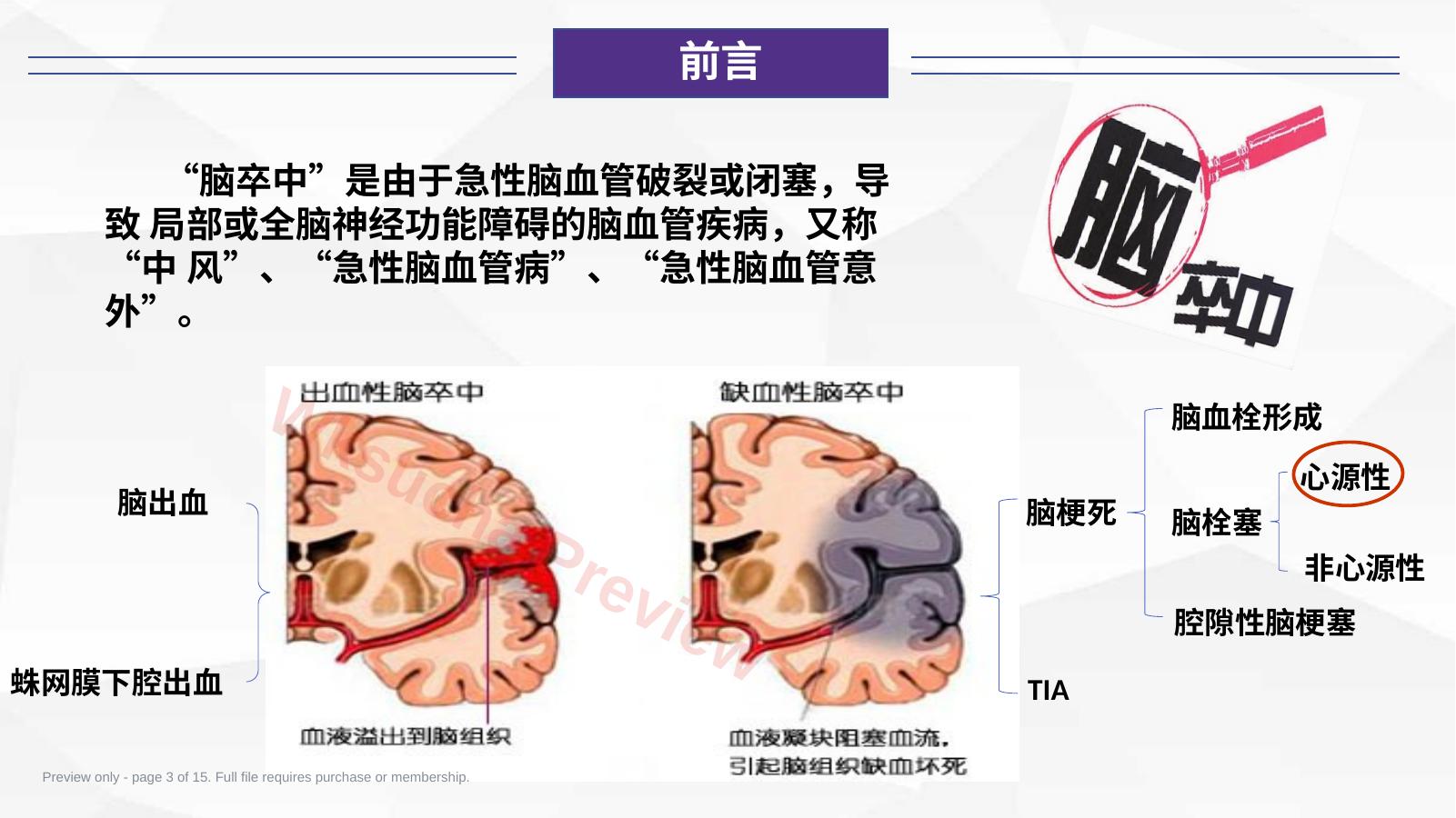 预览第 3 页
