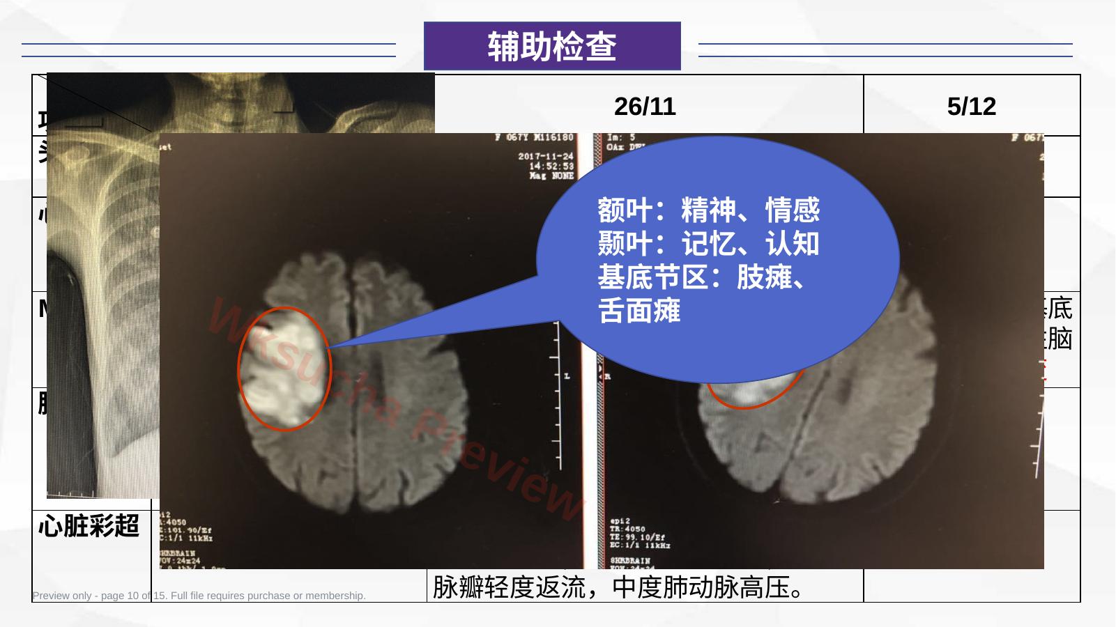 预览第 10 页