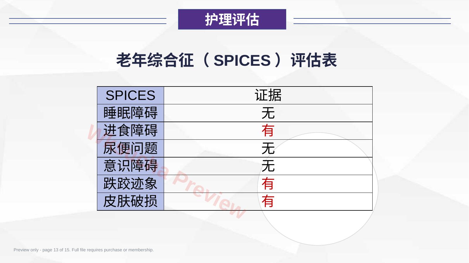 预览第 13 页