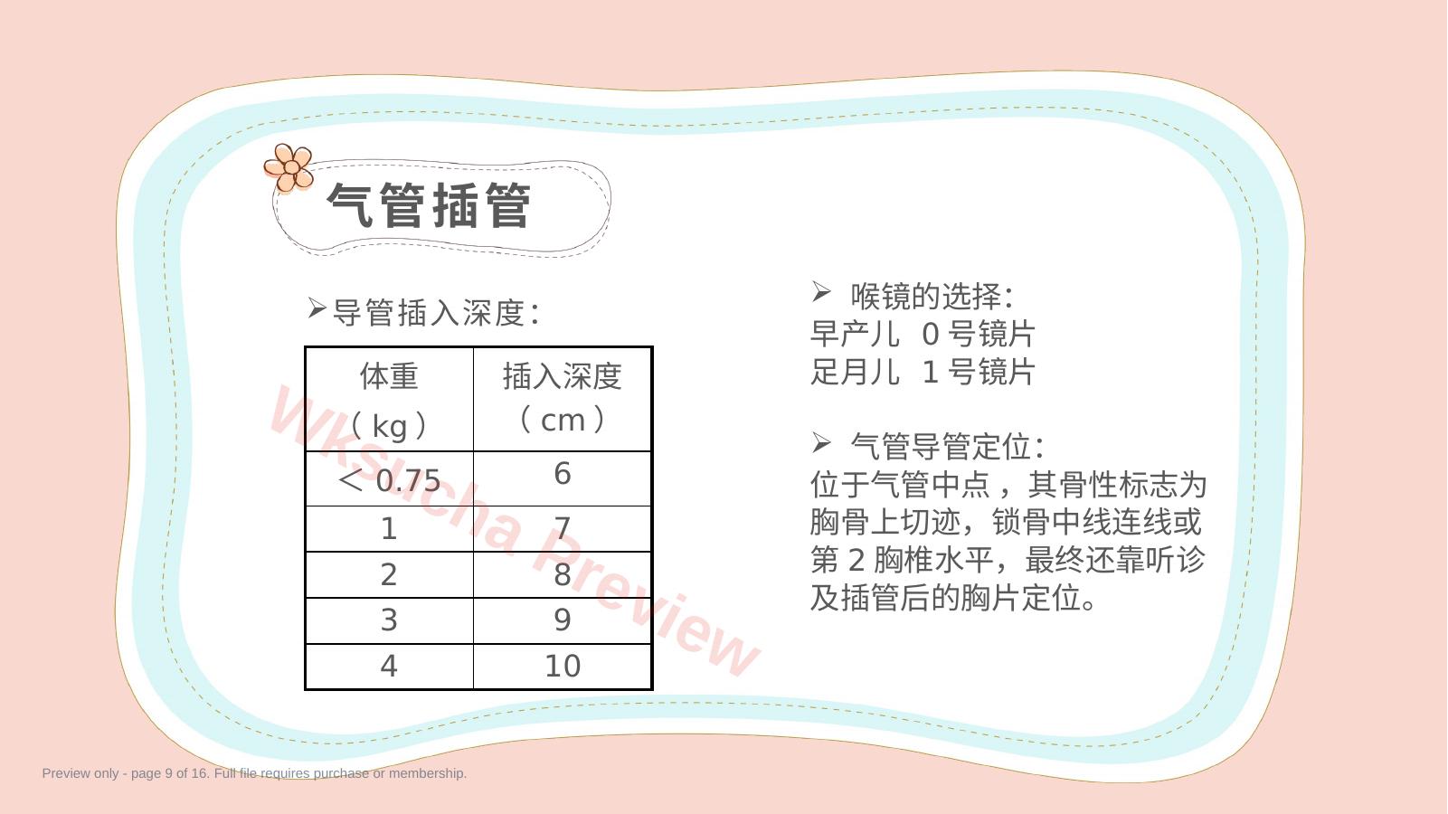 预览第 9 页