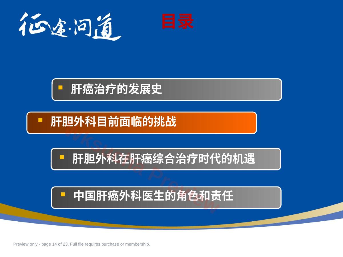 预览第 14 页