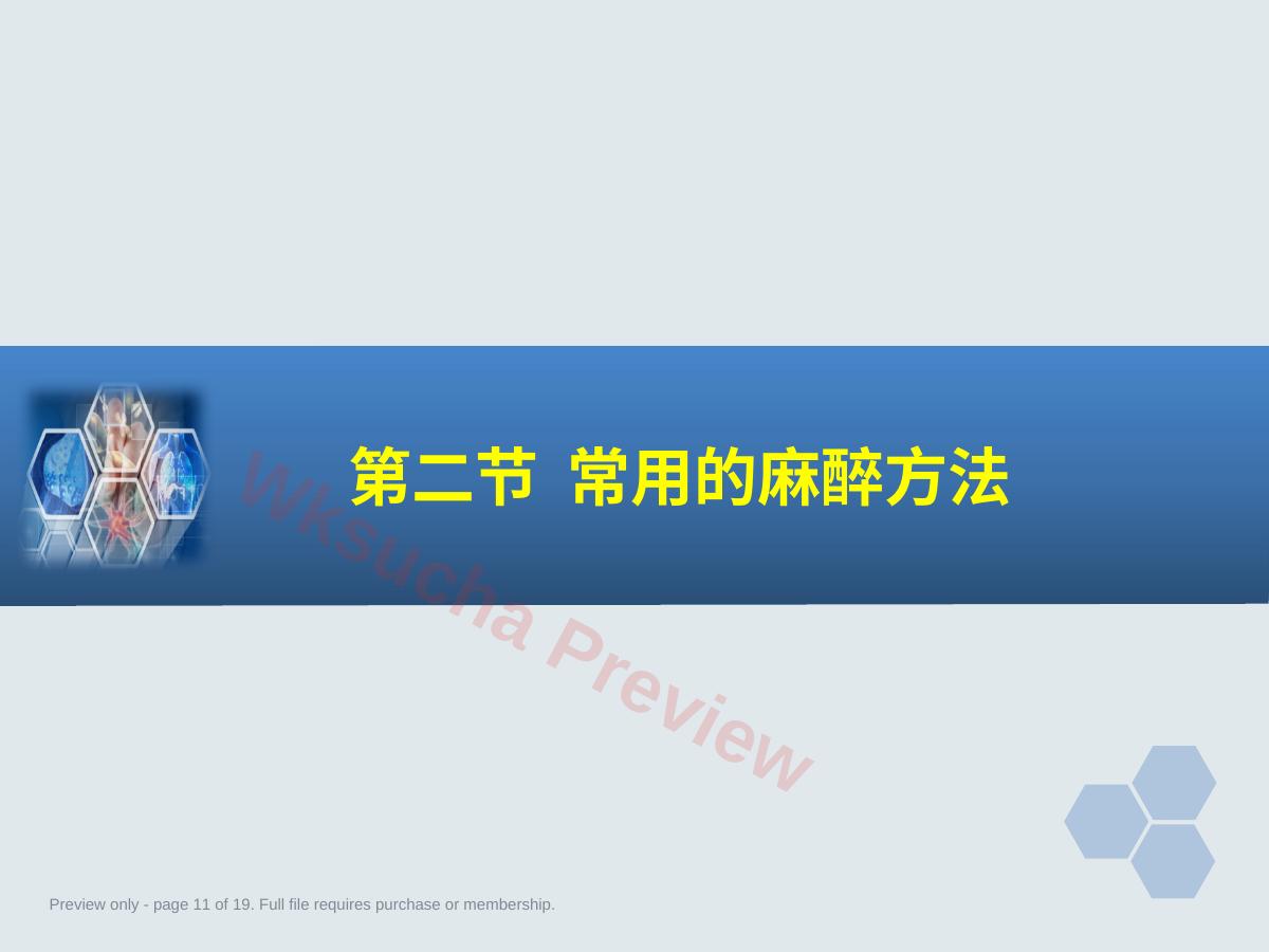 预览第 11 页