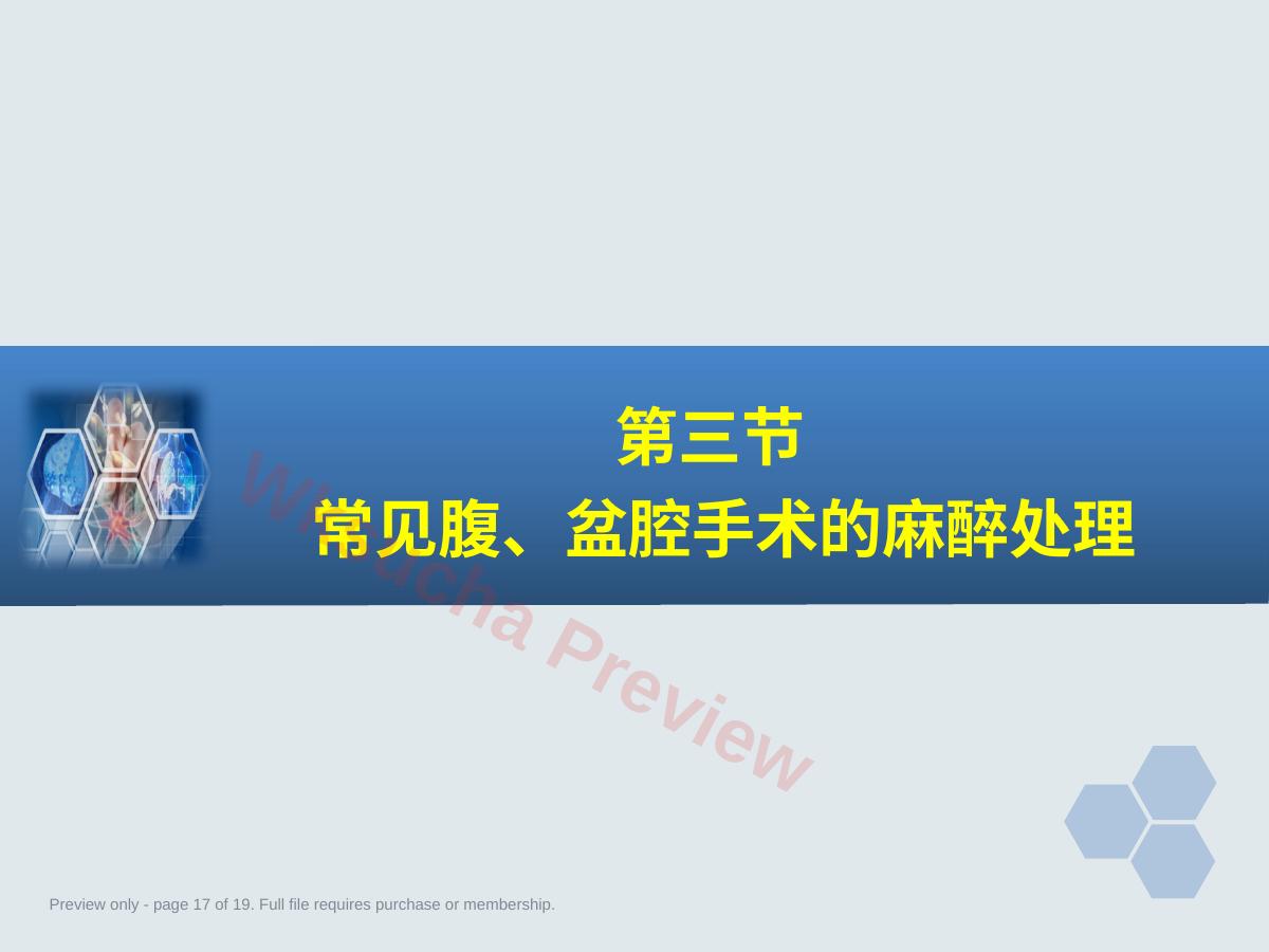 预览第 17 页