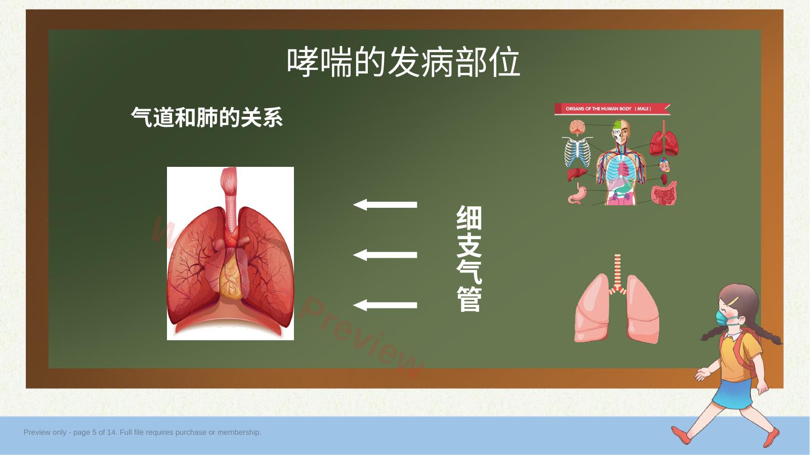 预览第 5 页