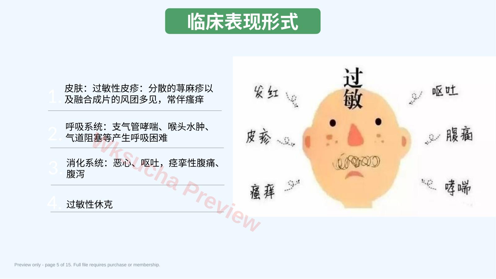预览第 5 页