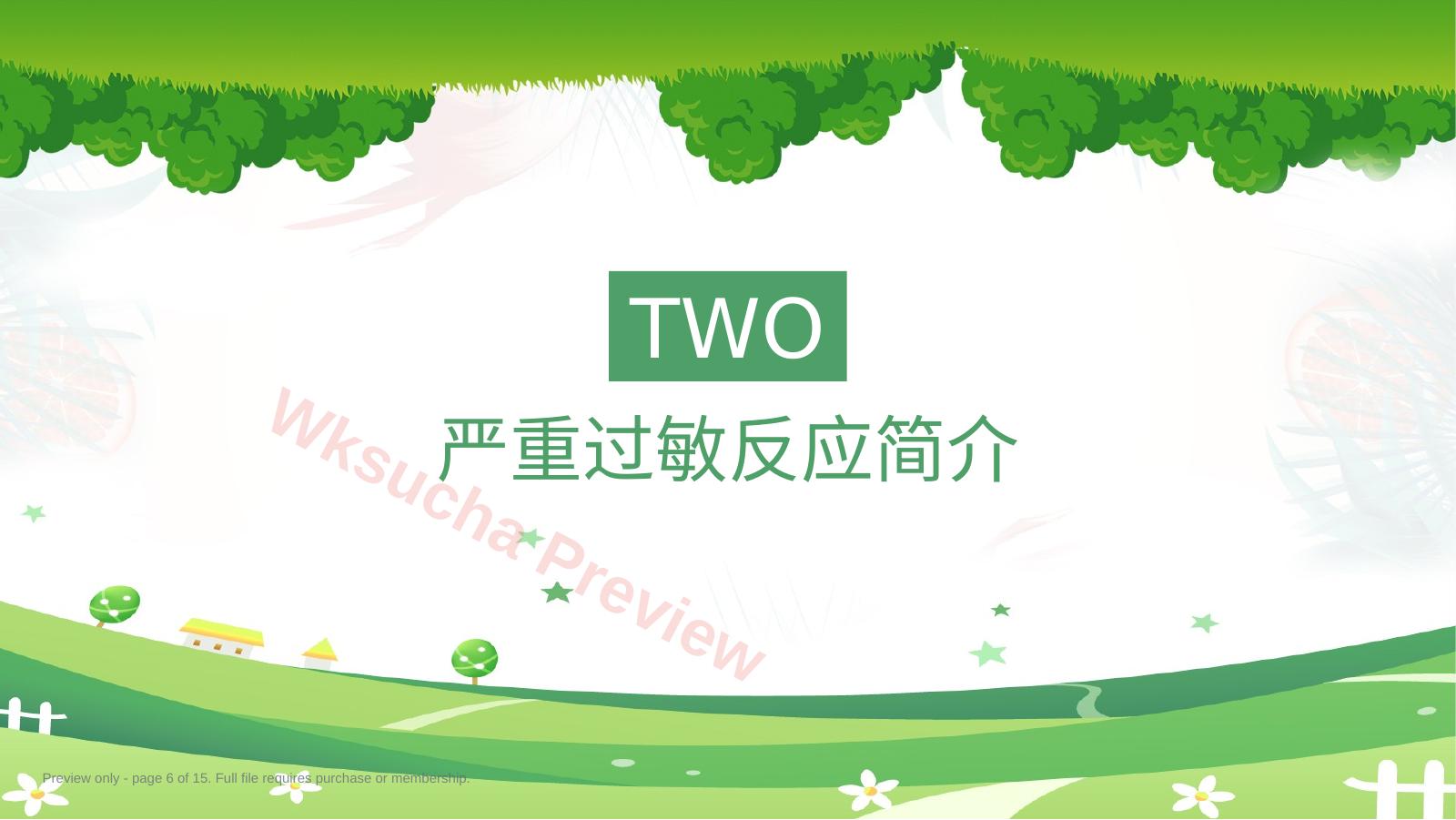 预览第 6 页