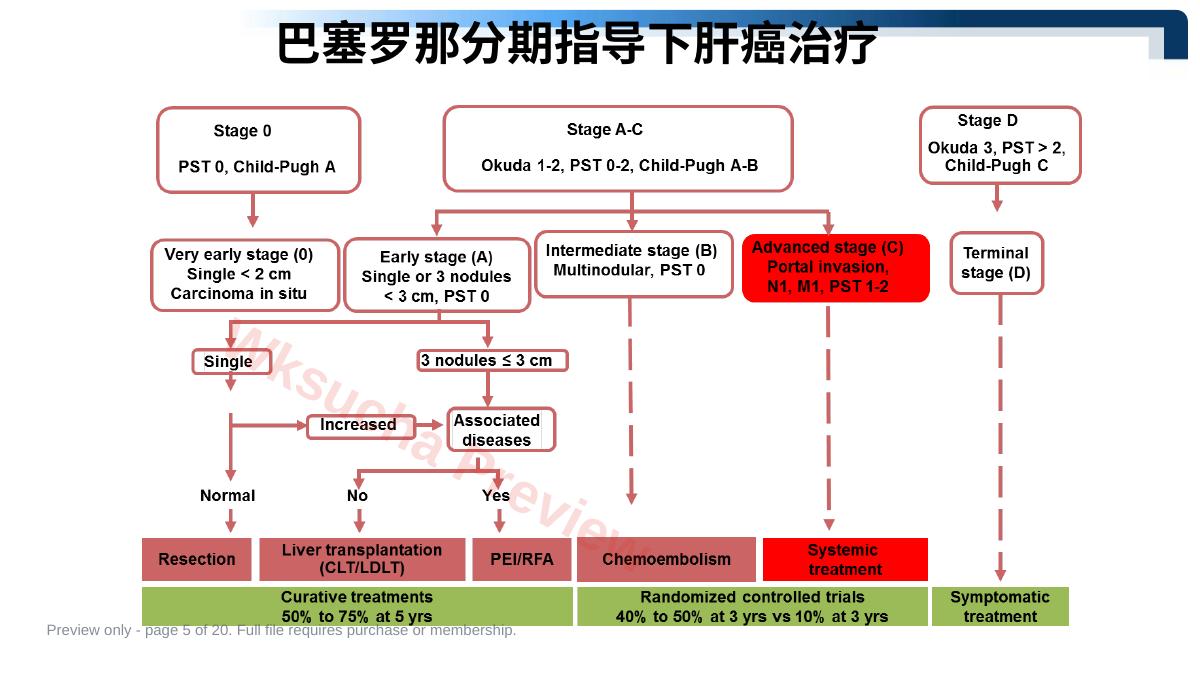 预览第 5 页