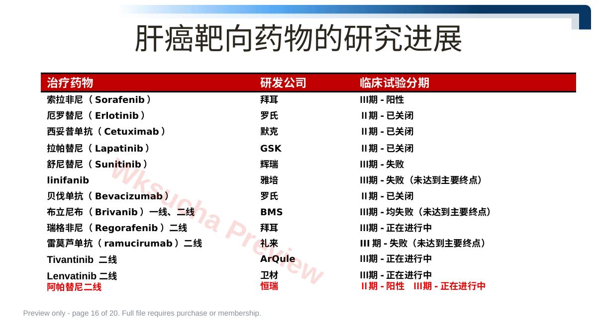 预览第 16 页