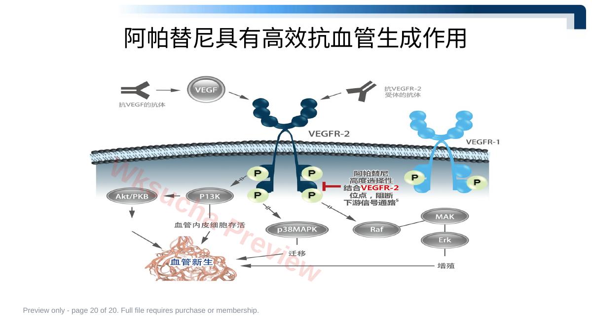 预览第 20 页