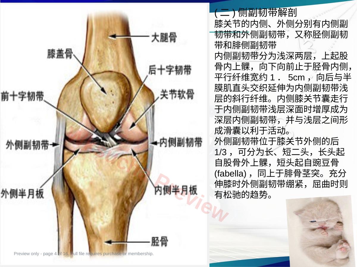 预览第 4 页