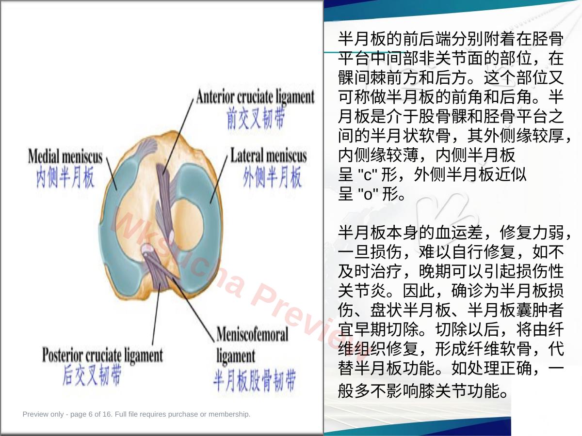 预览第 6 页