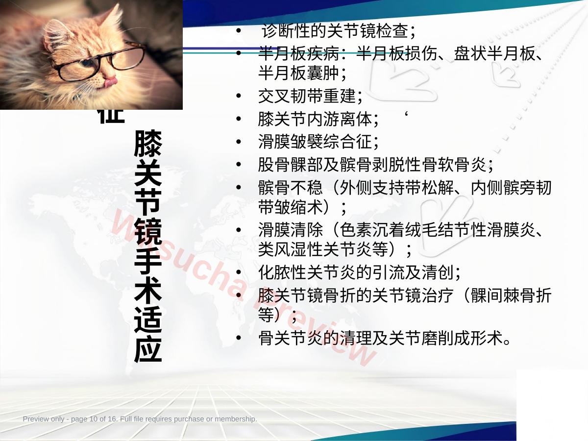 预览第 10 页