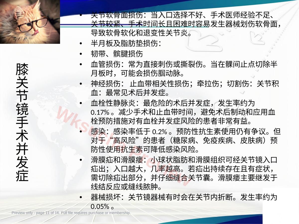 预览第 11 页