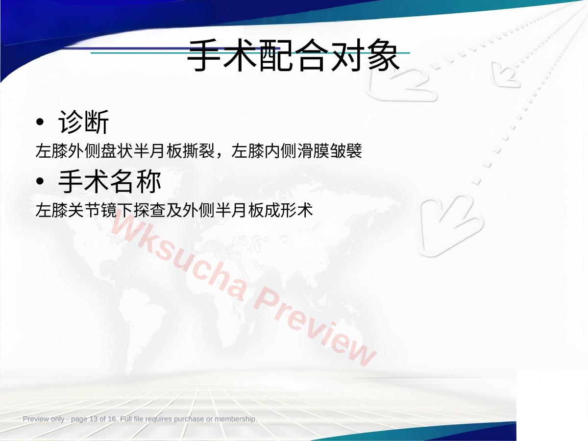 预览第 13 页
