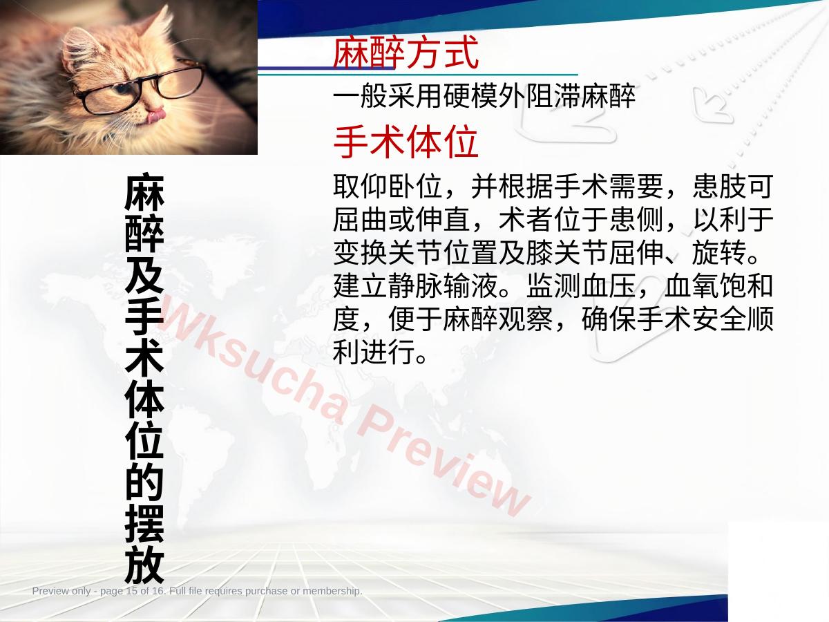 预览第 15 页