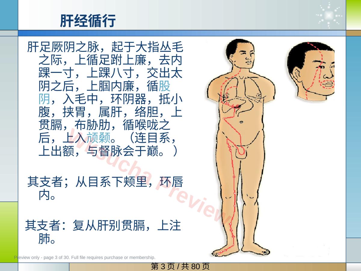预览第 3 页