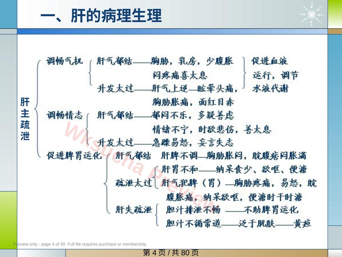 预览第 4 页