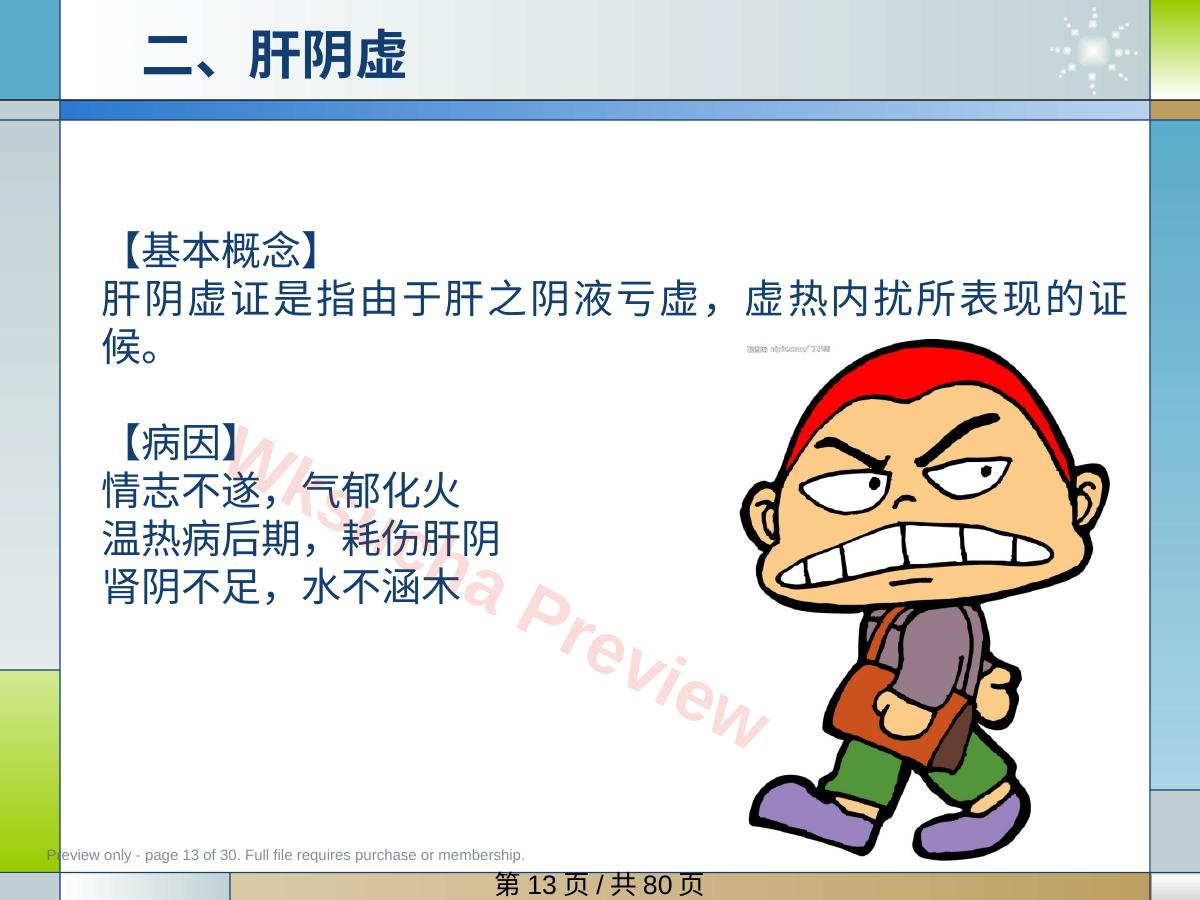 预览第 13 页