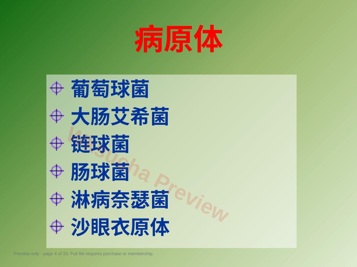 预览第 4 页