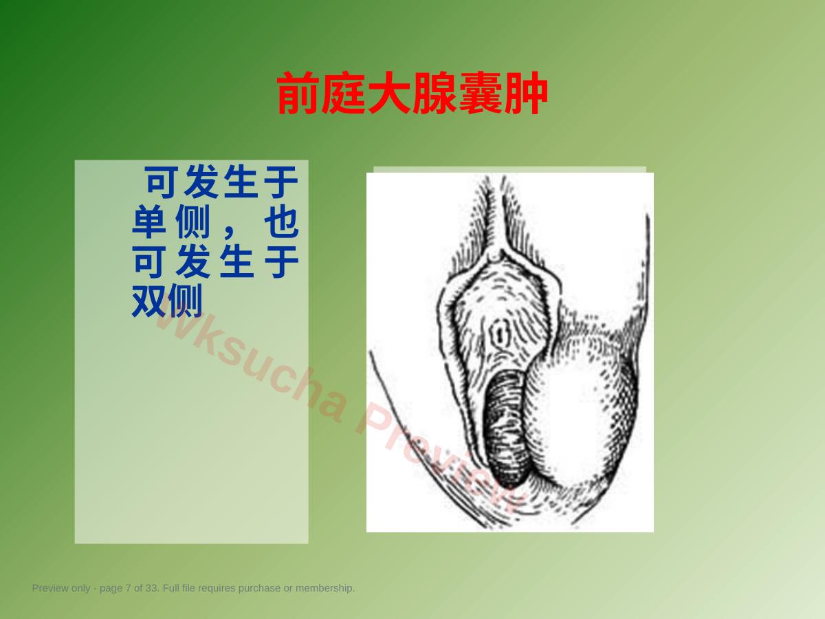 预览第 7 页