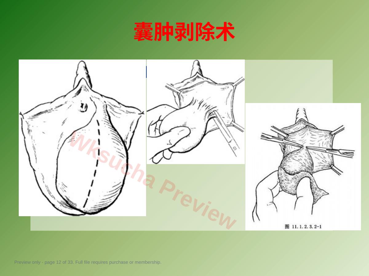 预览第 12 页