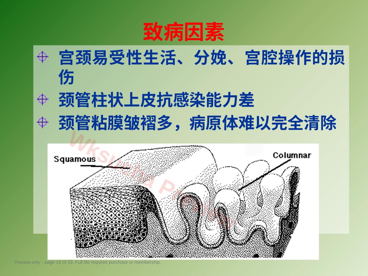 预览第 16 页