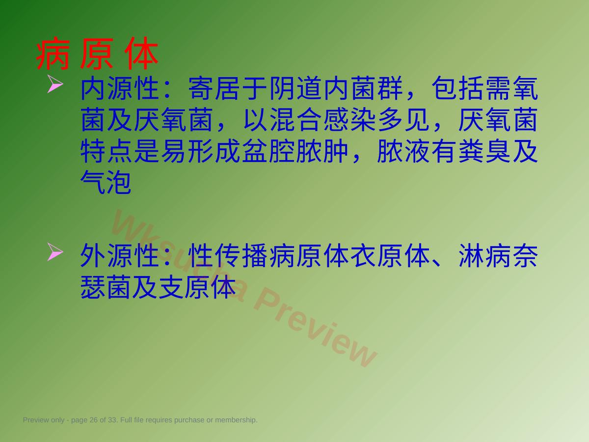 预览第 26 页