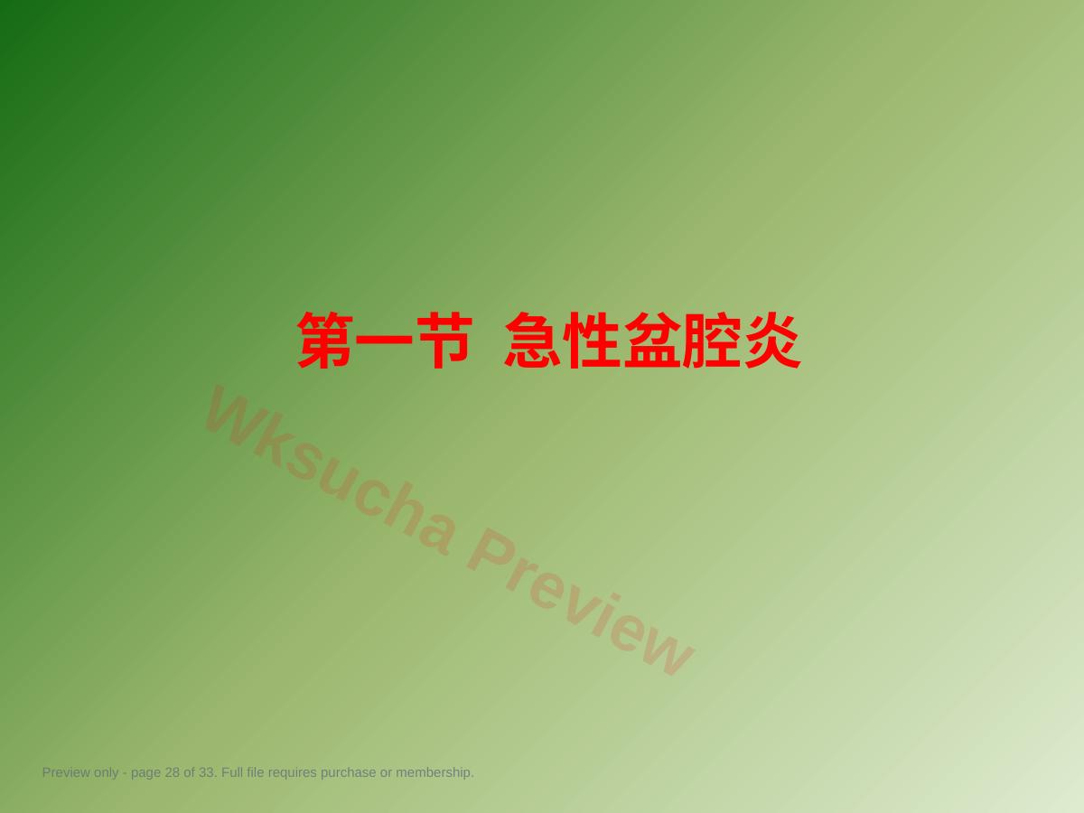 预览第 28 页