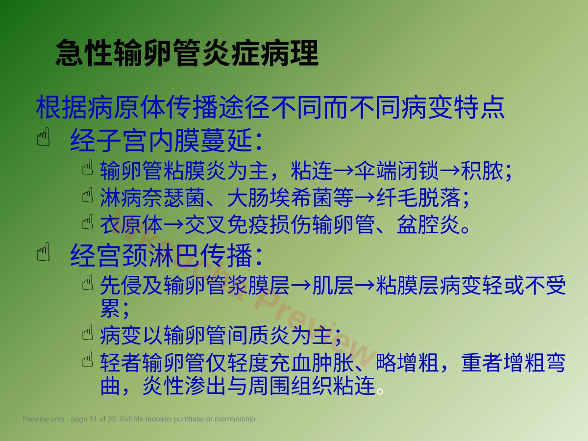 预览第 31 页