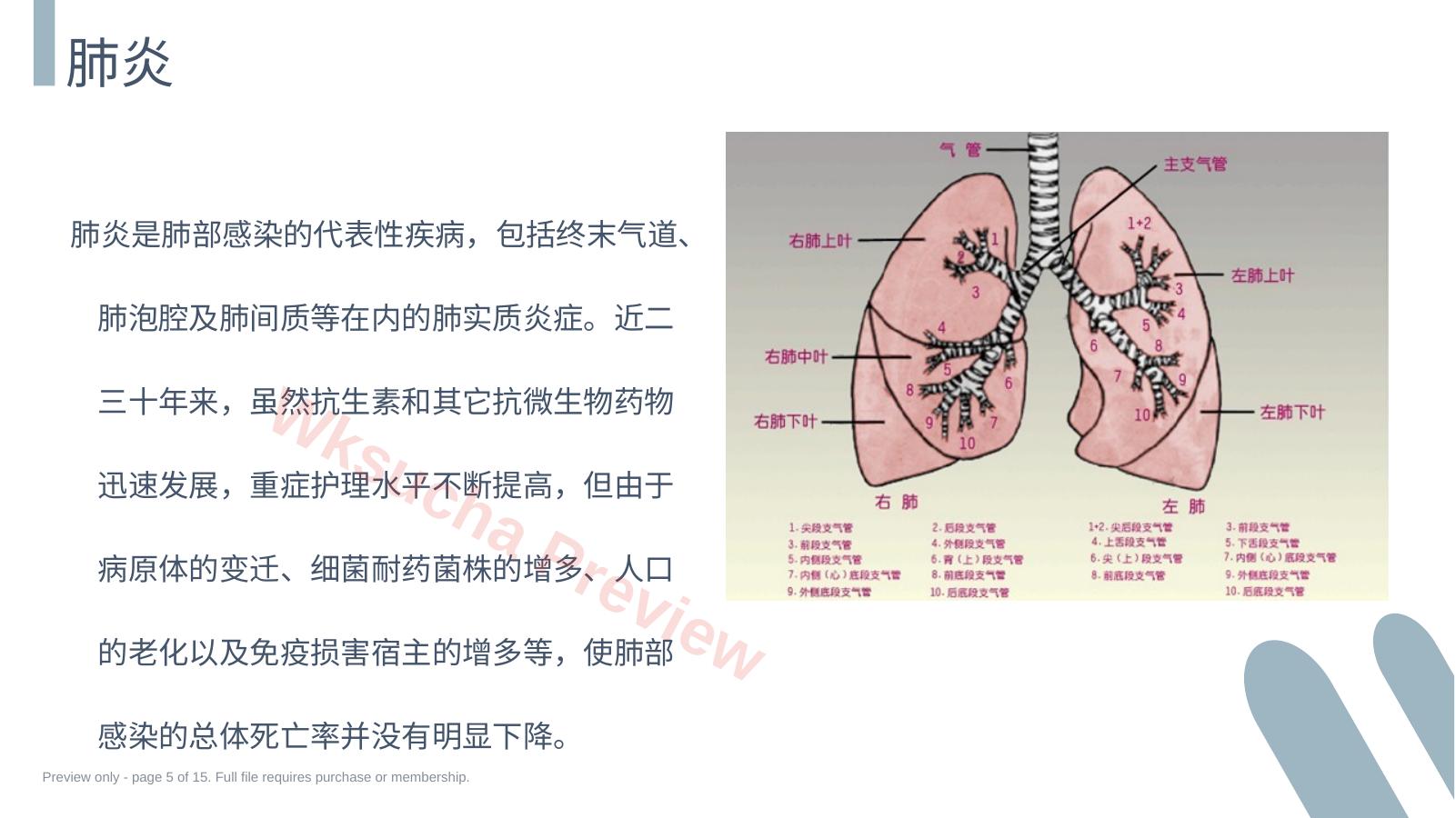 预览第 5 页